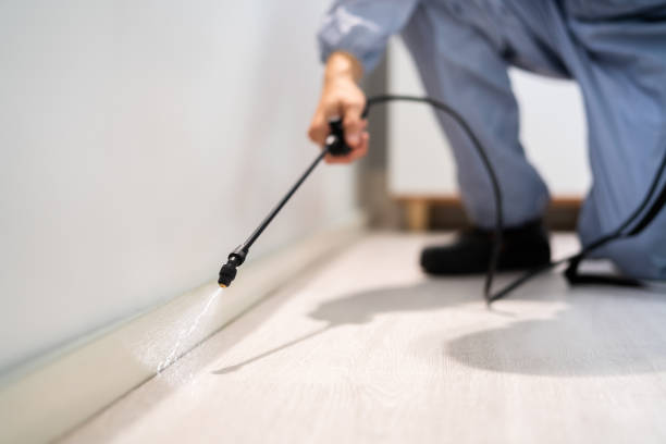 Licensed Pest Control service in Plymouth, MI - Nex Pest Control