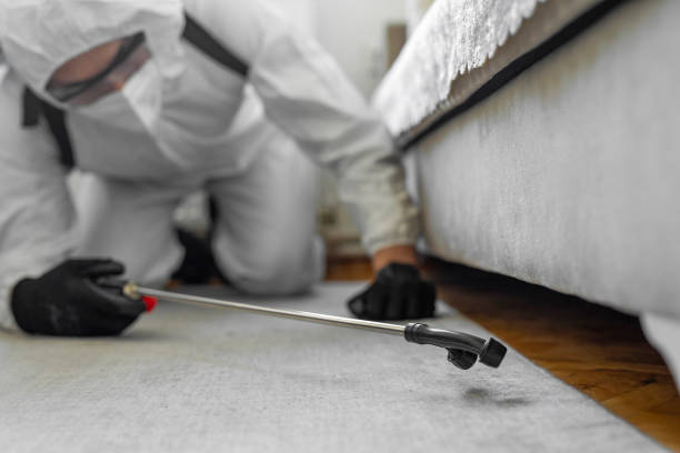 Professional Pest Control technician working in Plymouth, MI