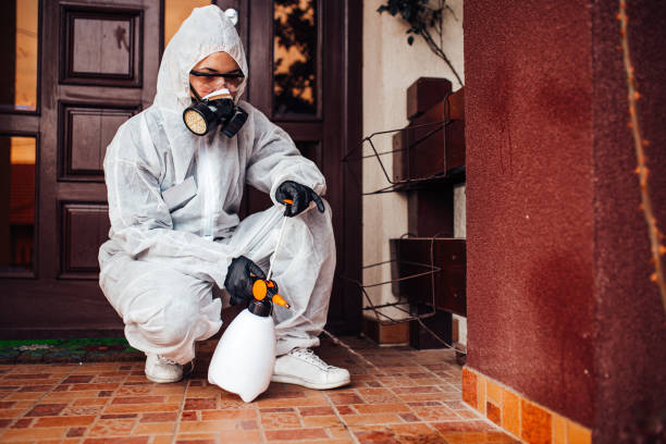 Reliable Bed Bug Control contractor in Plymouth, MI by Nex Pest Control