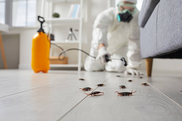 Trusted Mosquito Control service in Plymouth, MI - Nex Pest Control